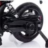 Moto Ducati Gp Electrique pour Enfant 12 Volts Peg-pérego 6