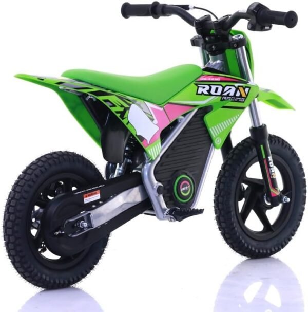 Moto Electrique Enfant 2002 Warrior 1