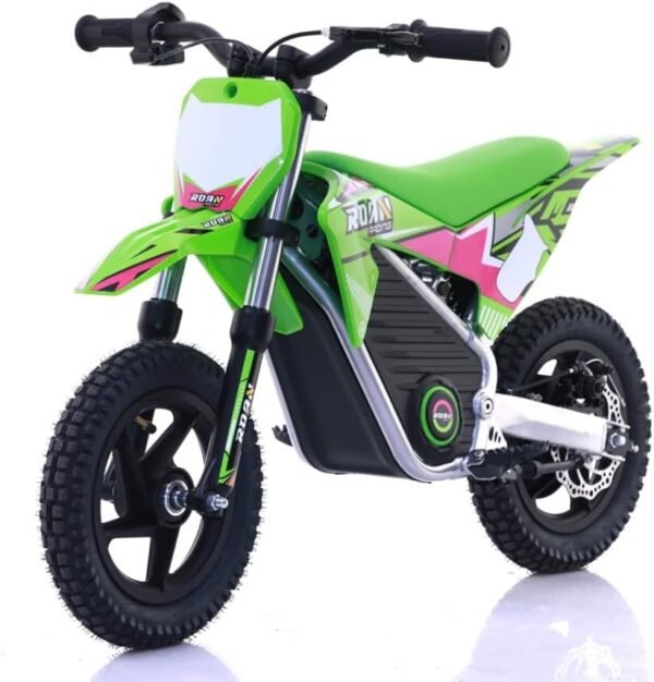 Moto Electrique Enfant 2002 Warrior 4