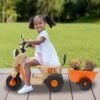 Moto Electrique Enfant 50kg 9